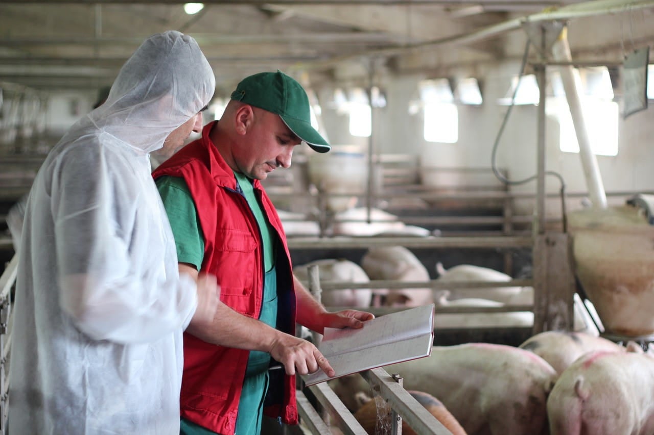 Combating the African Swine Fever (ASF) threat: The critical role of proven disinfection in biosecurity.