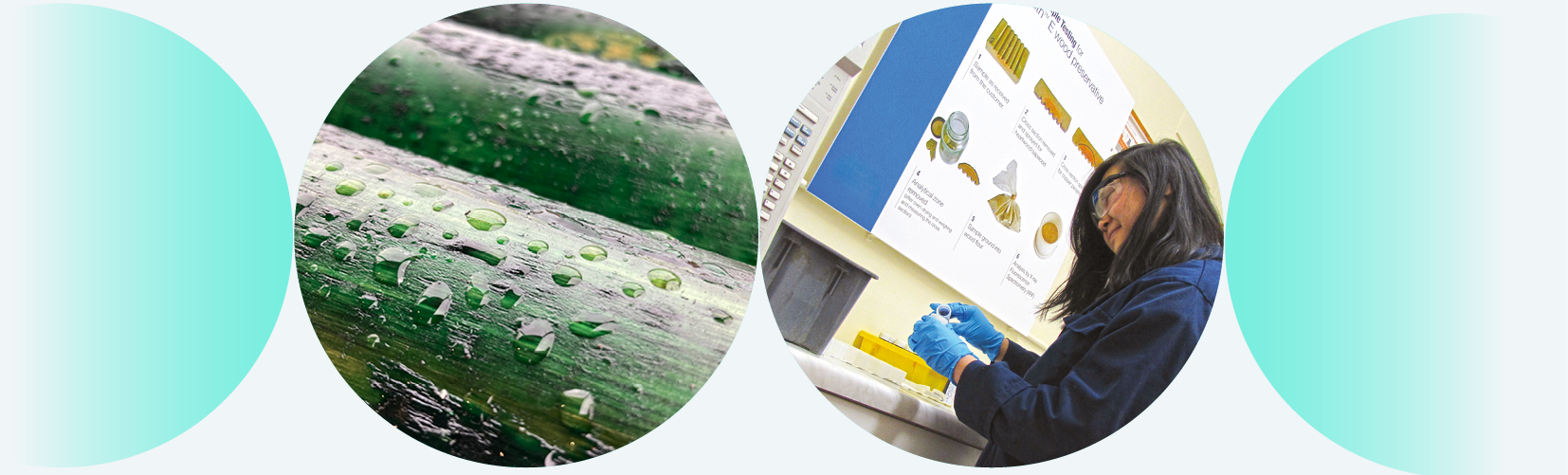 testing images in circles