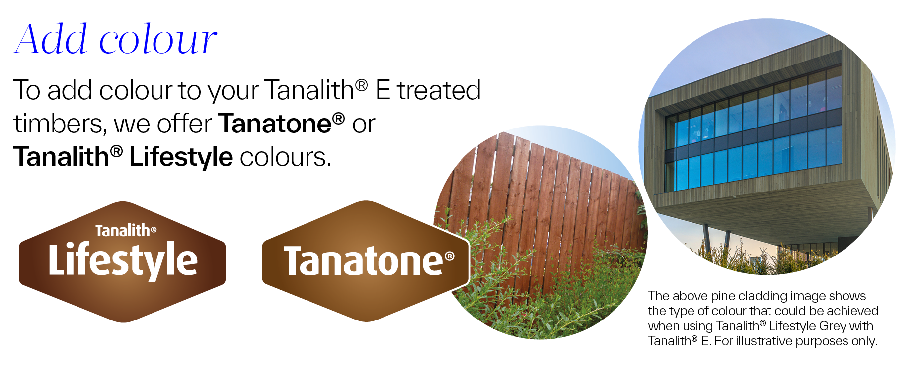 colour options for Tanalith E