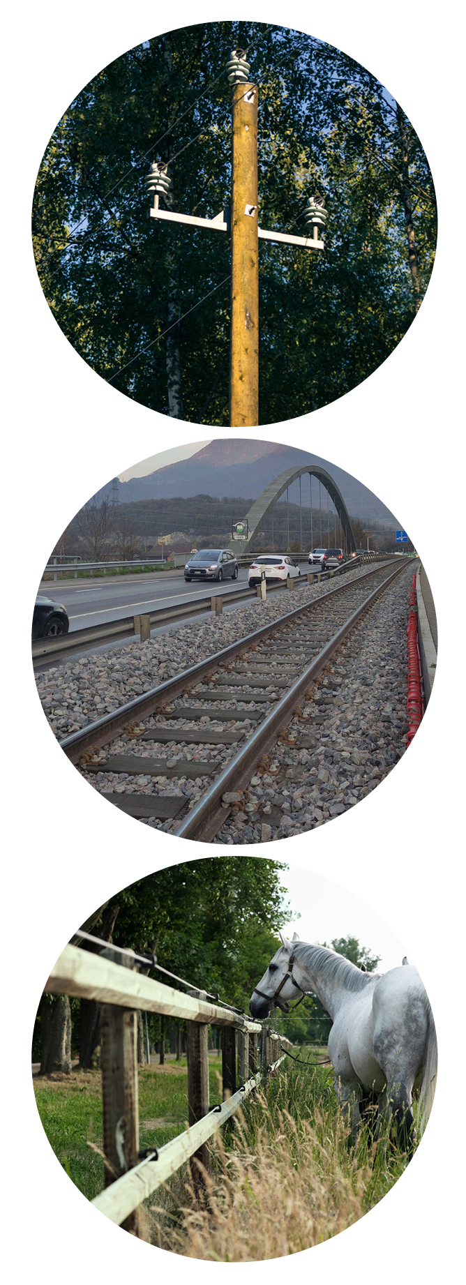 Tanasote applications images