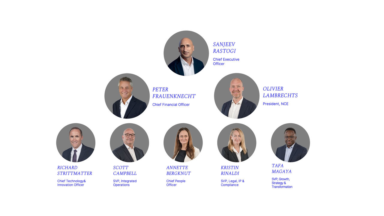 Our global leadership
