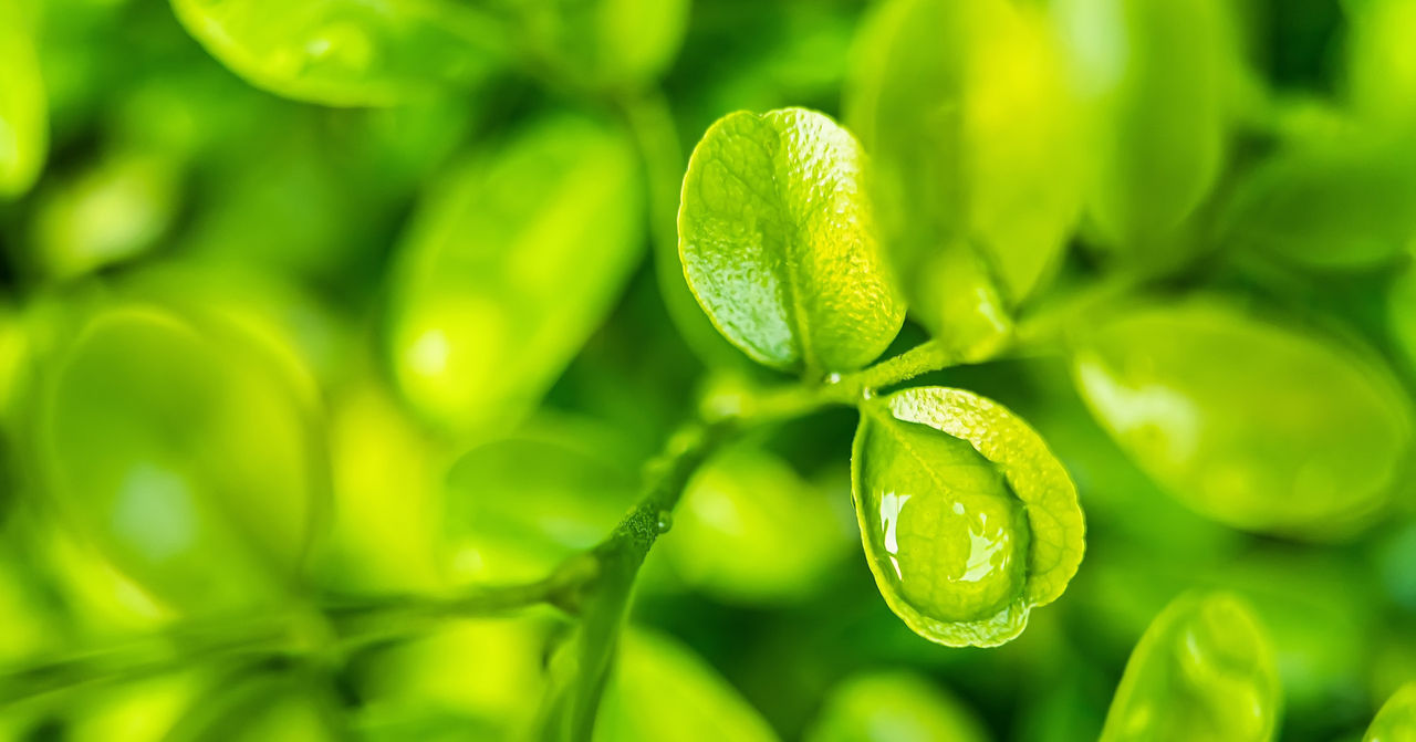 Sustainability Report