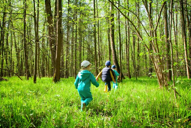 children-playing-in-the-forest