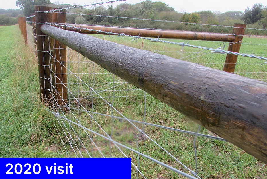 Freshly installed Tanasote treated agricultural fencing