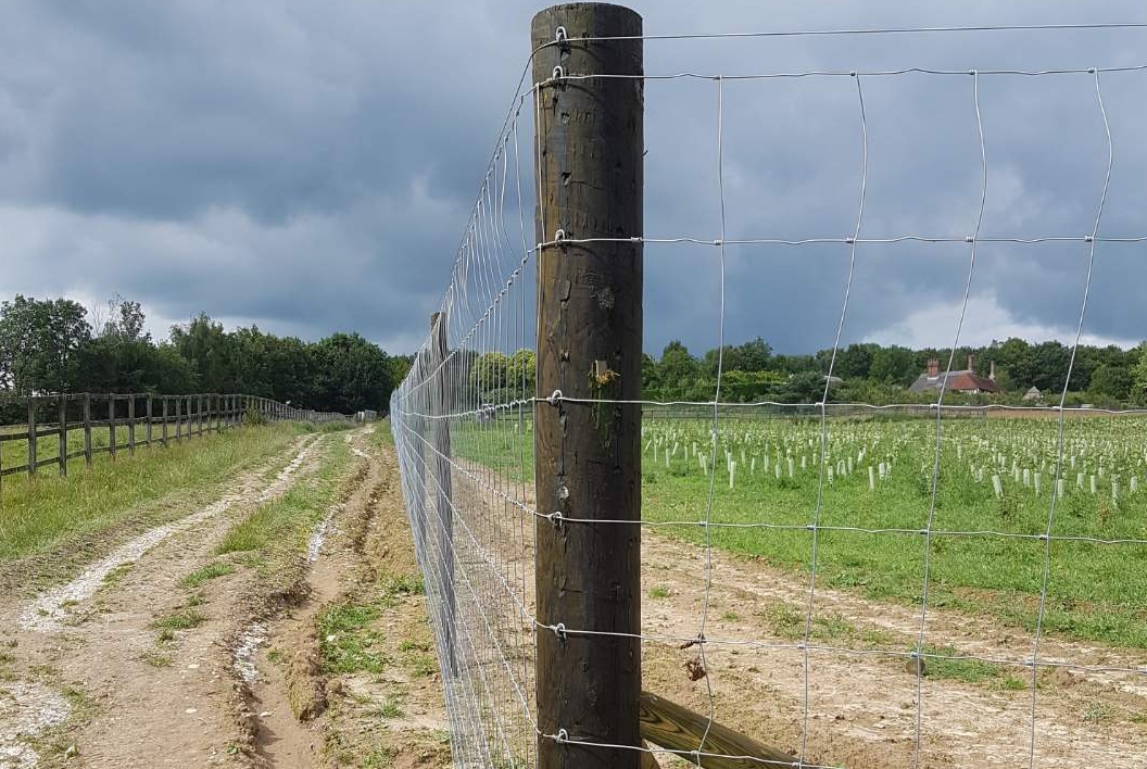 Freshly installed Tanasote treated agricultural fencing