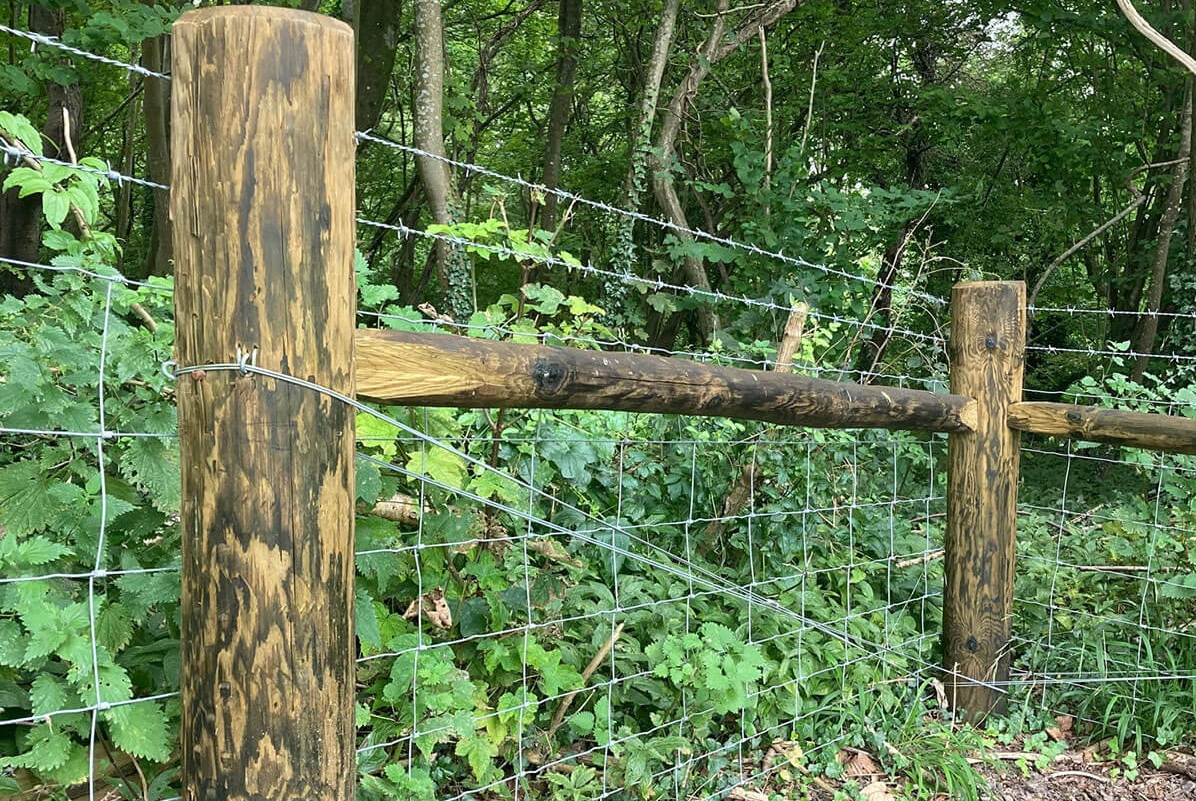 Freshly installed Tanasote treated agricultural fencing