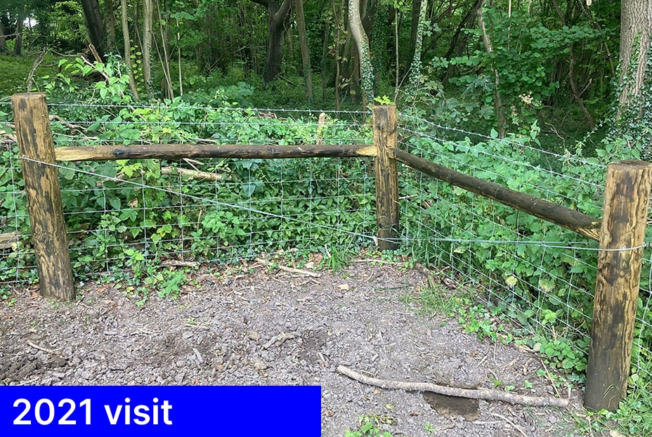 Freshly installed Tanasote treated agricultural fencing