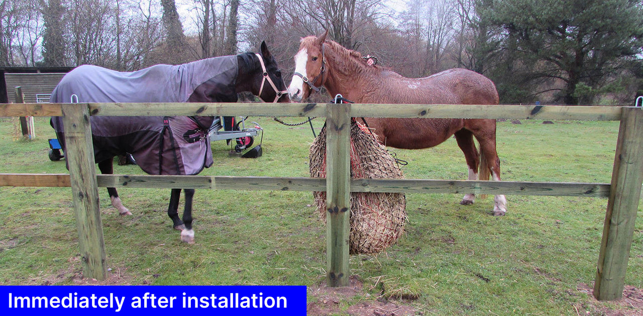 Tanasote Equestrian fencing trial